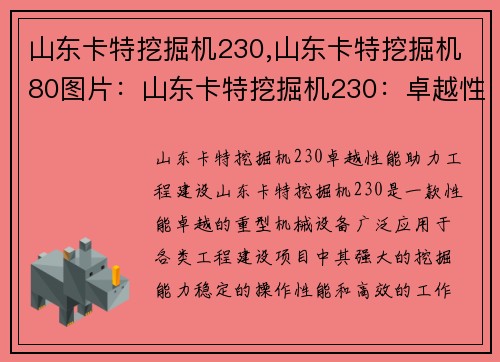 山东卡特挖掘机230,山东卡特挖掘机80图片：山东卡特挖掘机230：卓越性能，助力工程建设